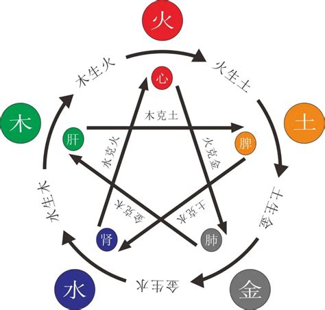 八字缺木性格|八字五行缺木是什么意思 八字中的五行缺木怎么办